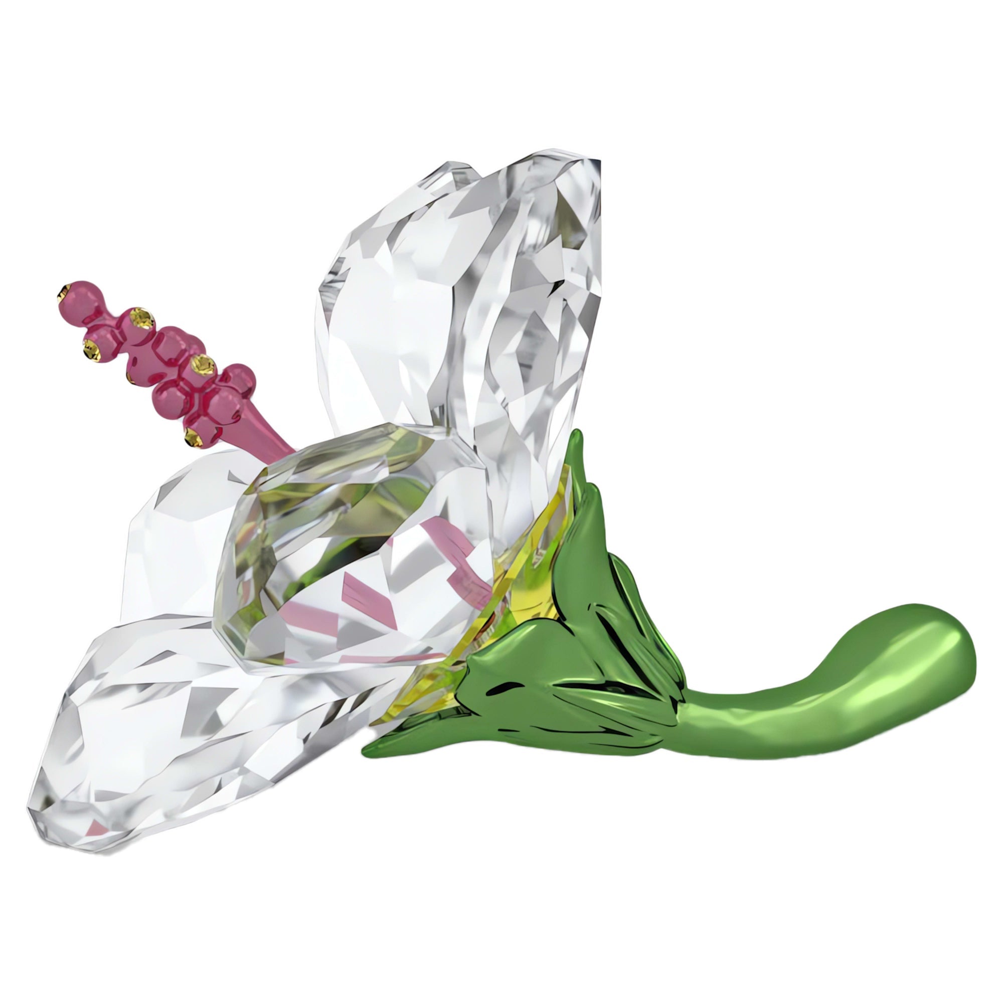 Florere Hibiscus, Small