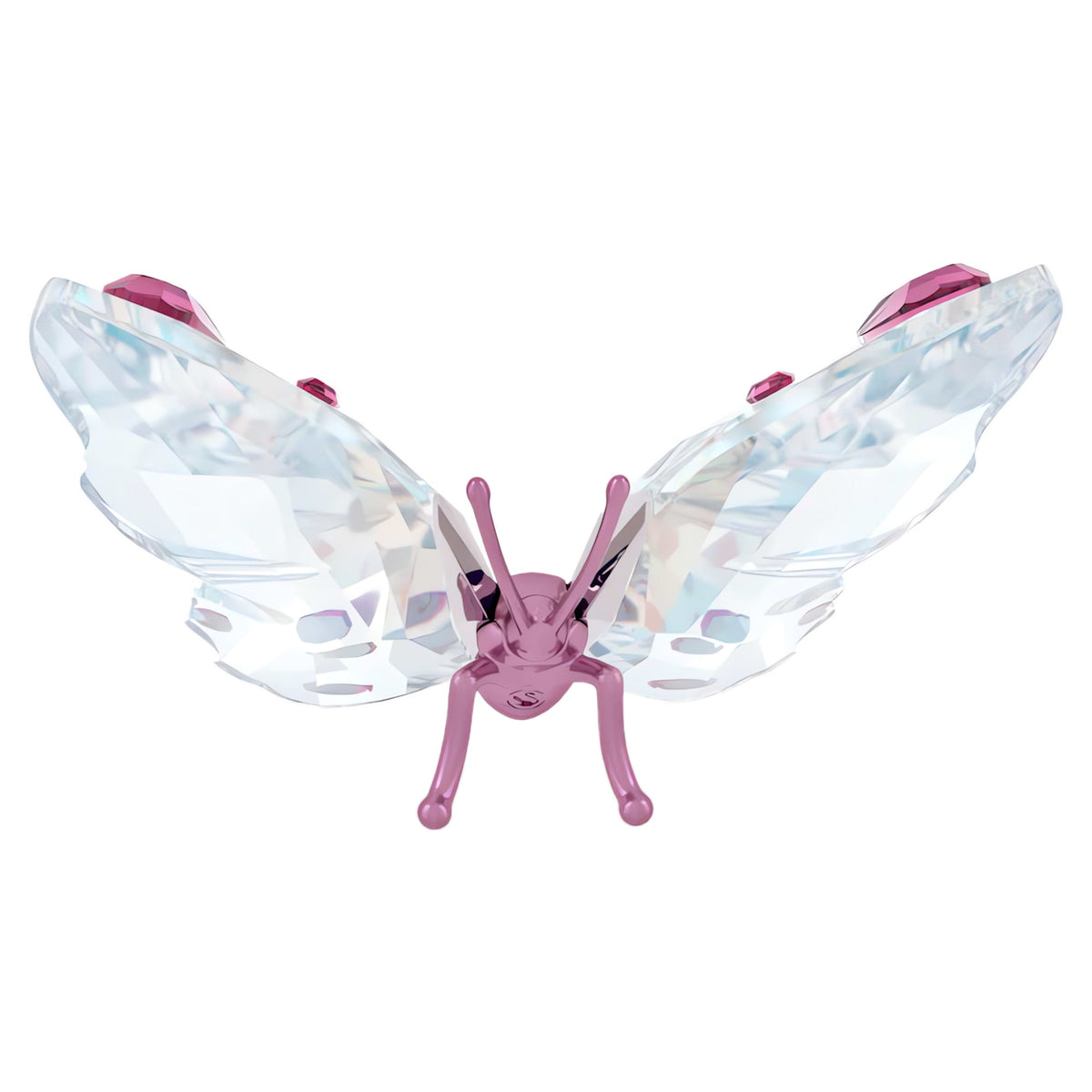 Idyllia Butterfly, Small