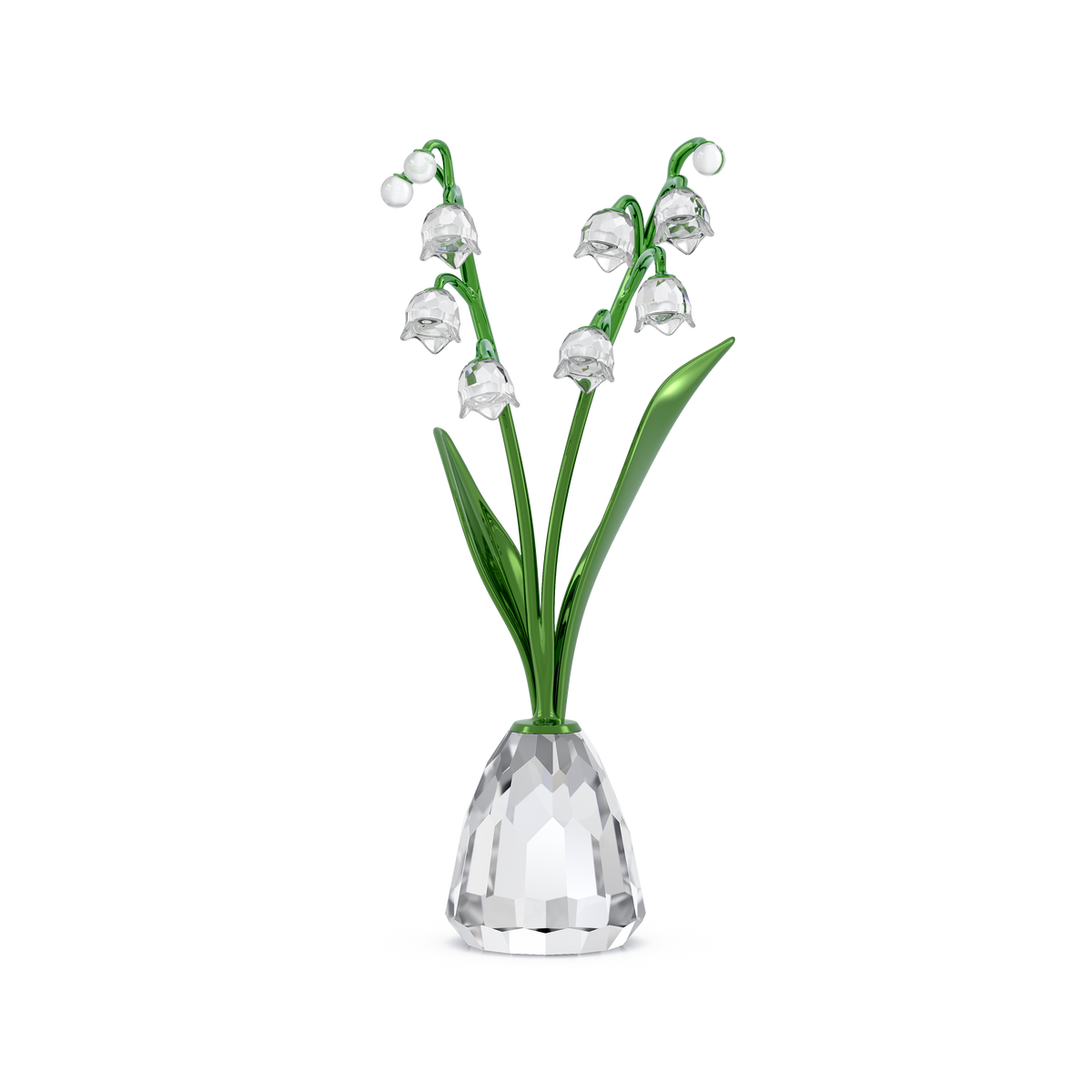 Florere Müge Çiçeği