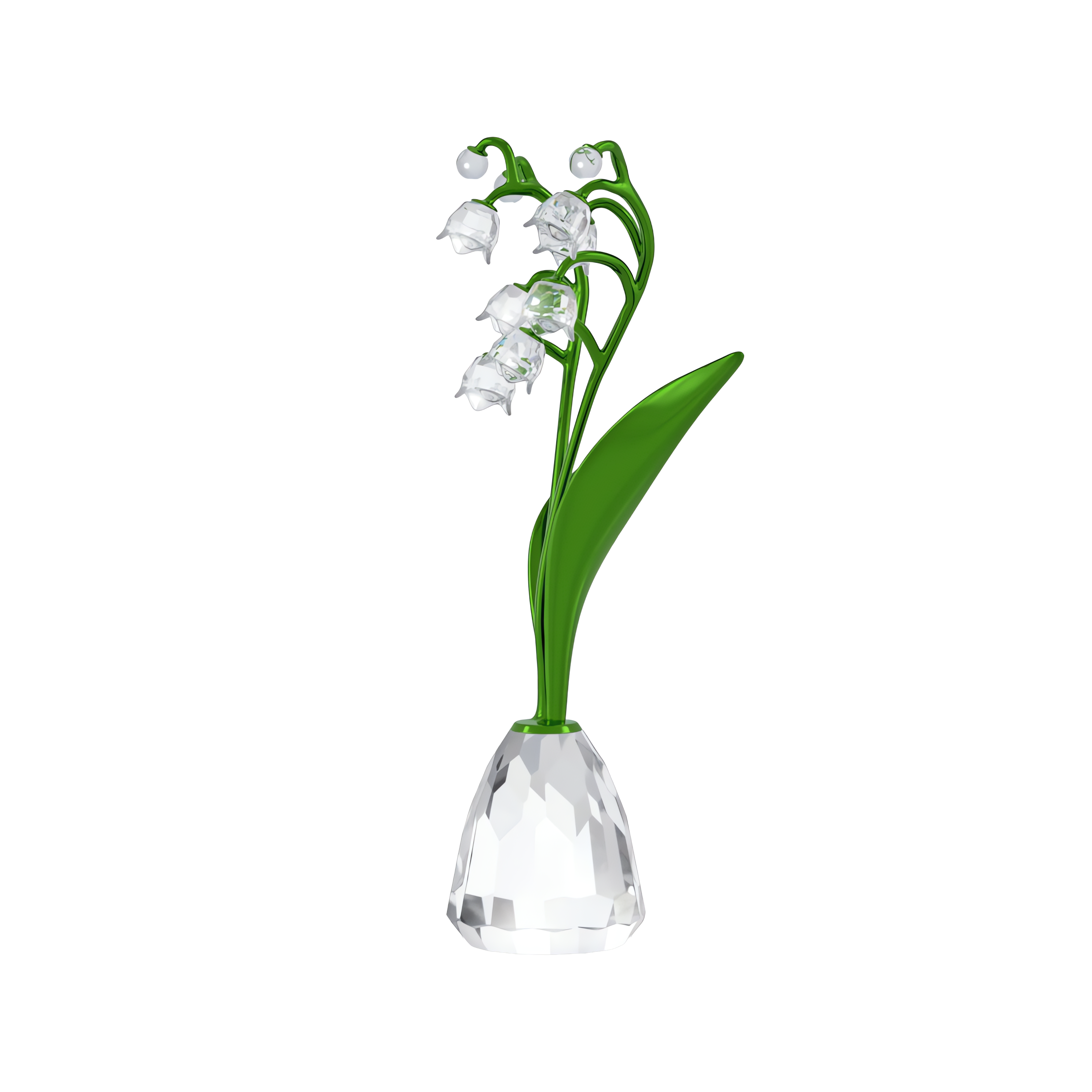 Florere Müge Çiçeği