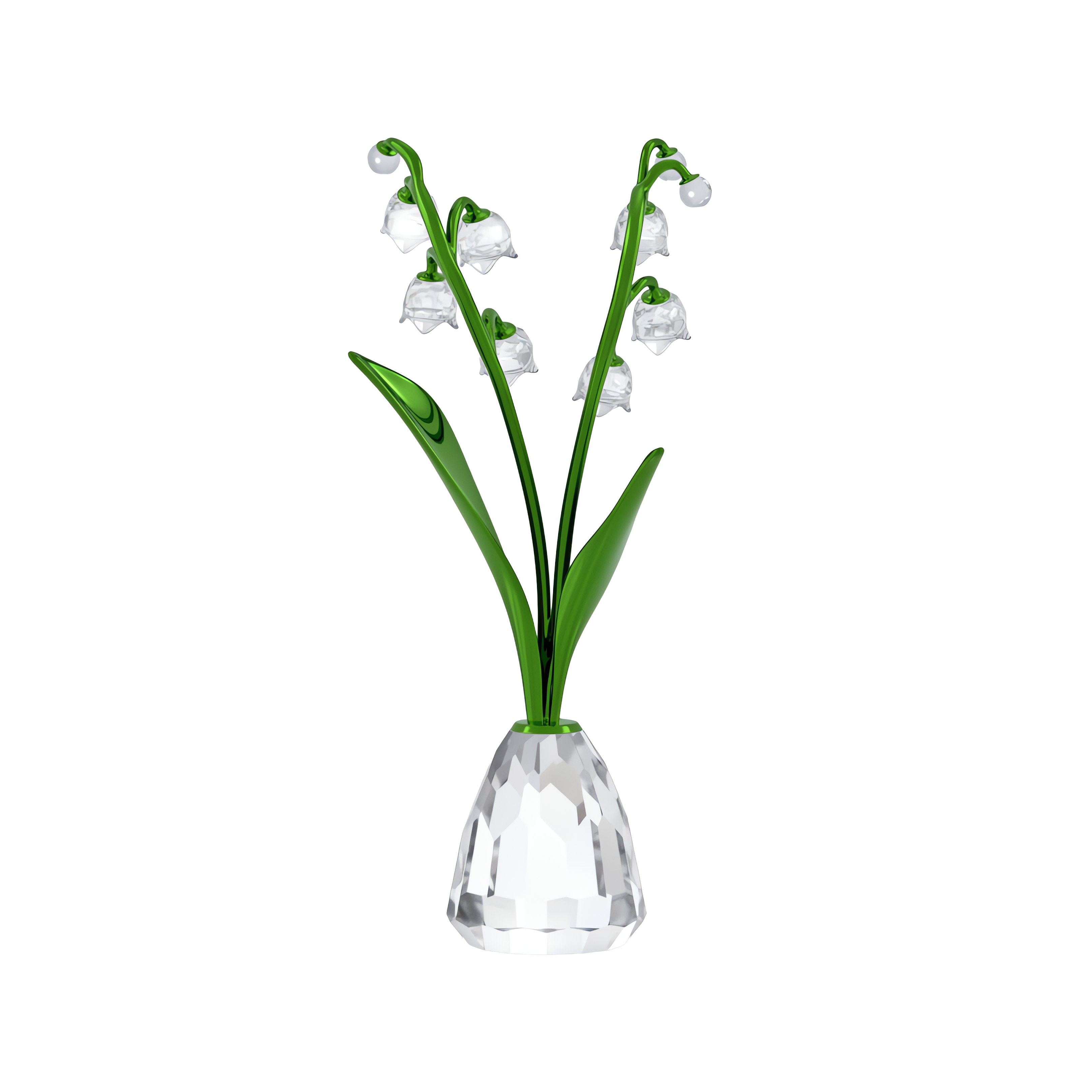 Florere Müge Çiçeği
