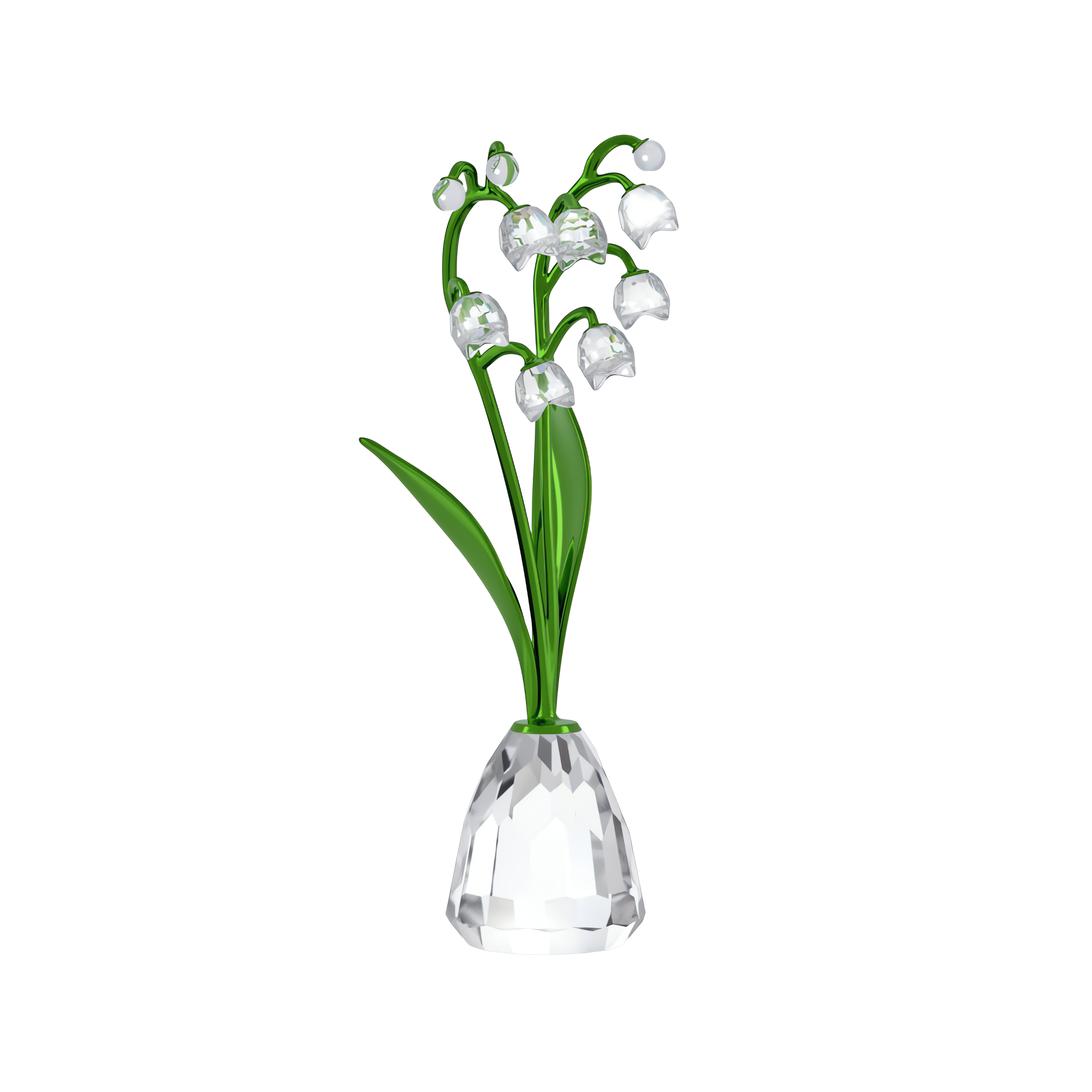 Florere Müge Çiçeği