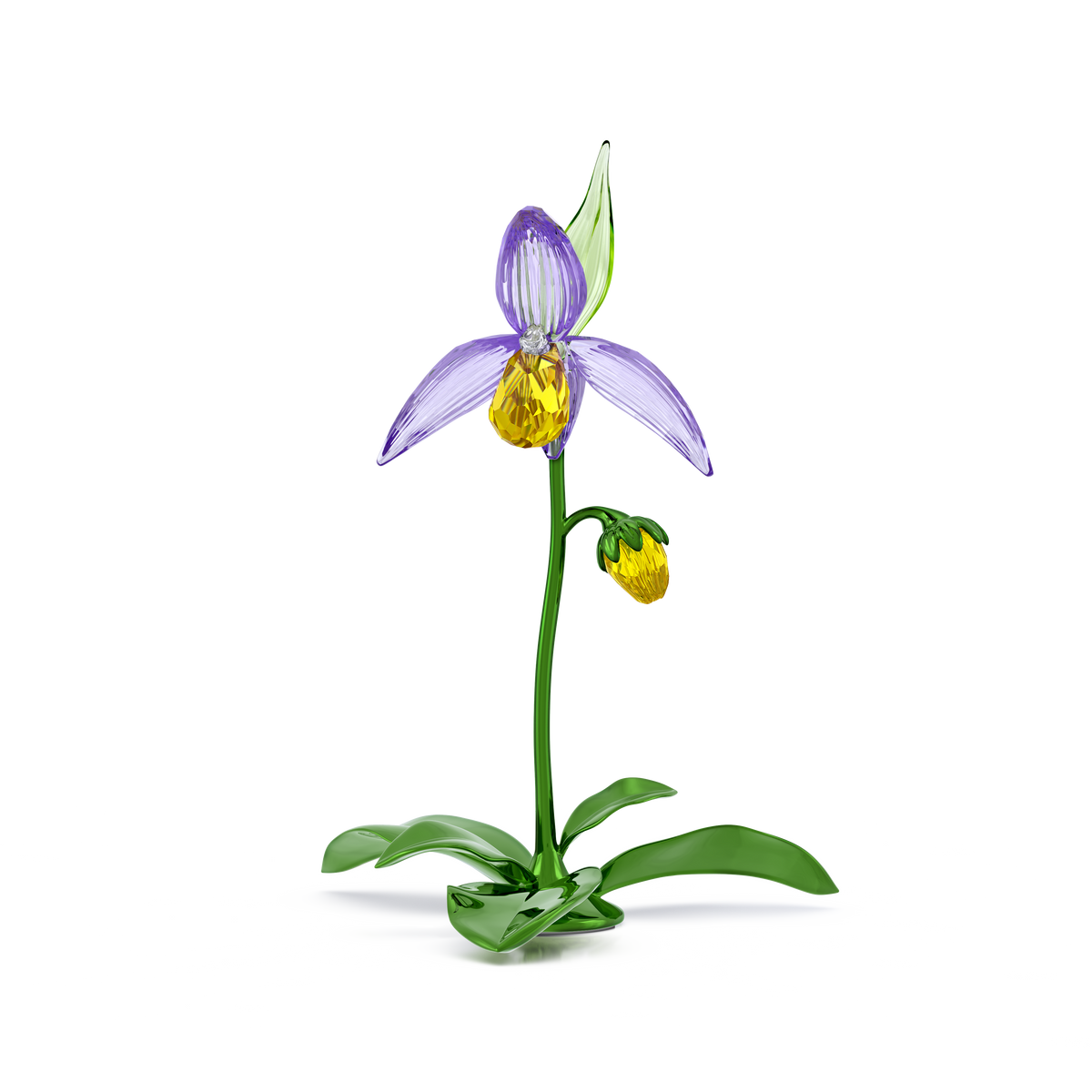 Florere Terlik Orkidesi