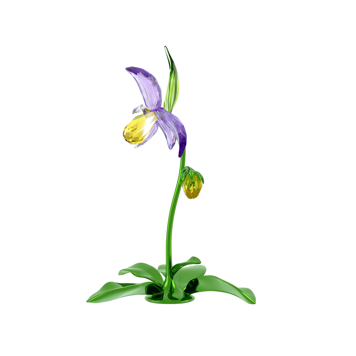 Florere Terlik Orkidesi