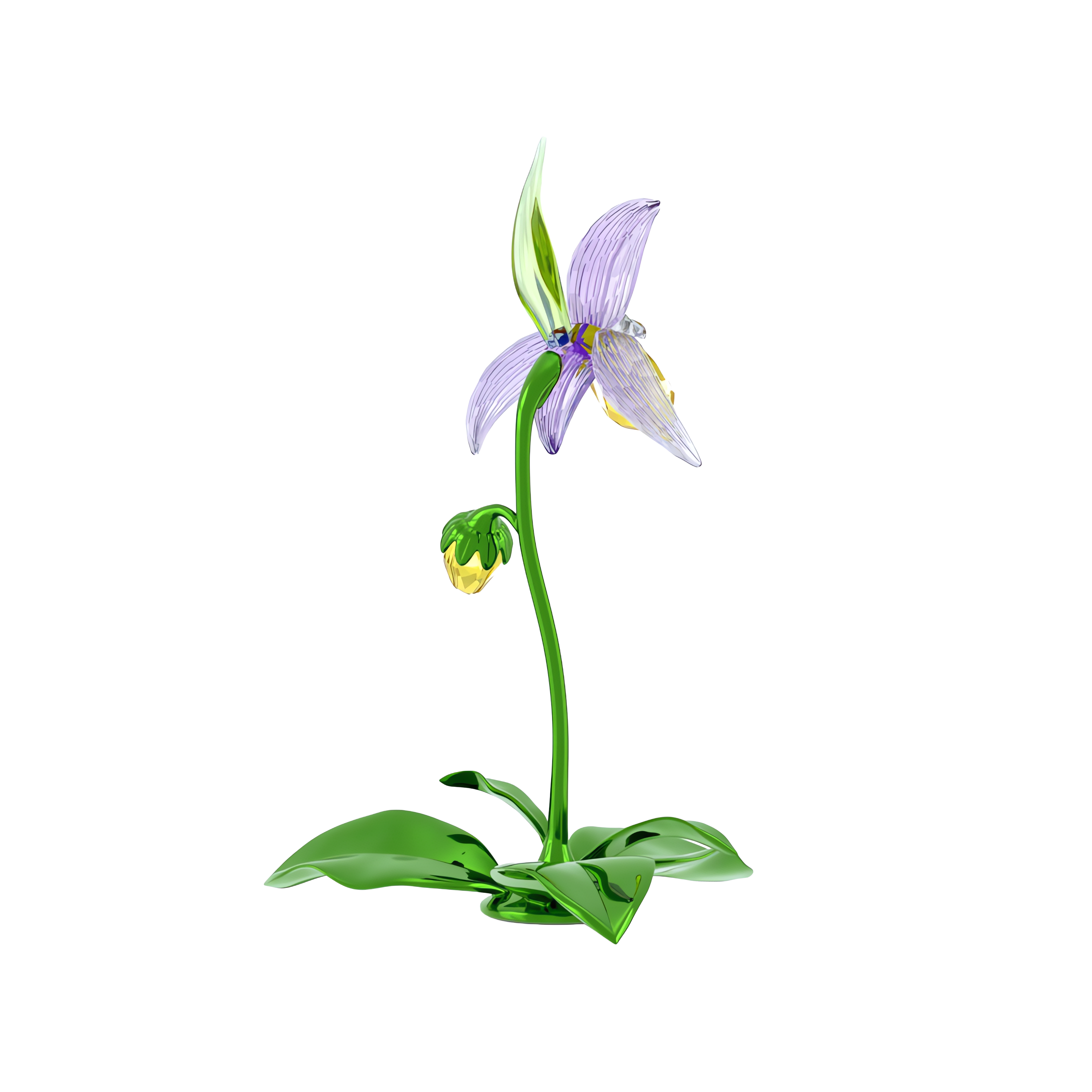Florere Terlik Orkidesi