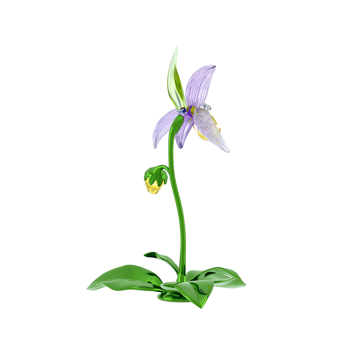 Florere Terlik Orkidesi