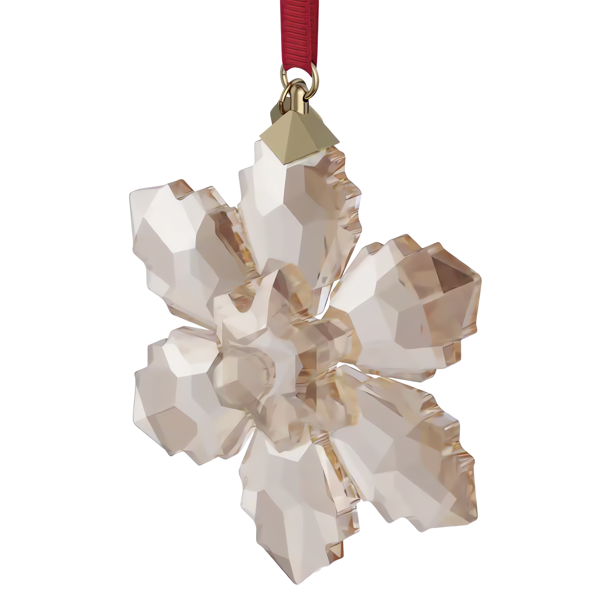 Annual Edition Festive Süs 2026