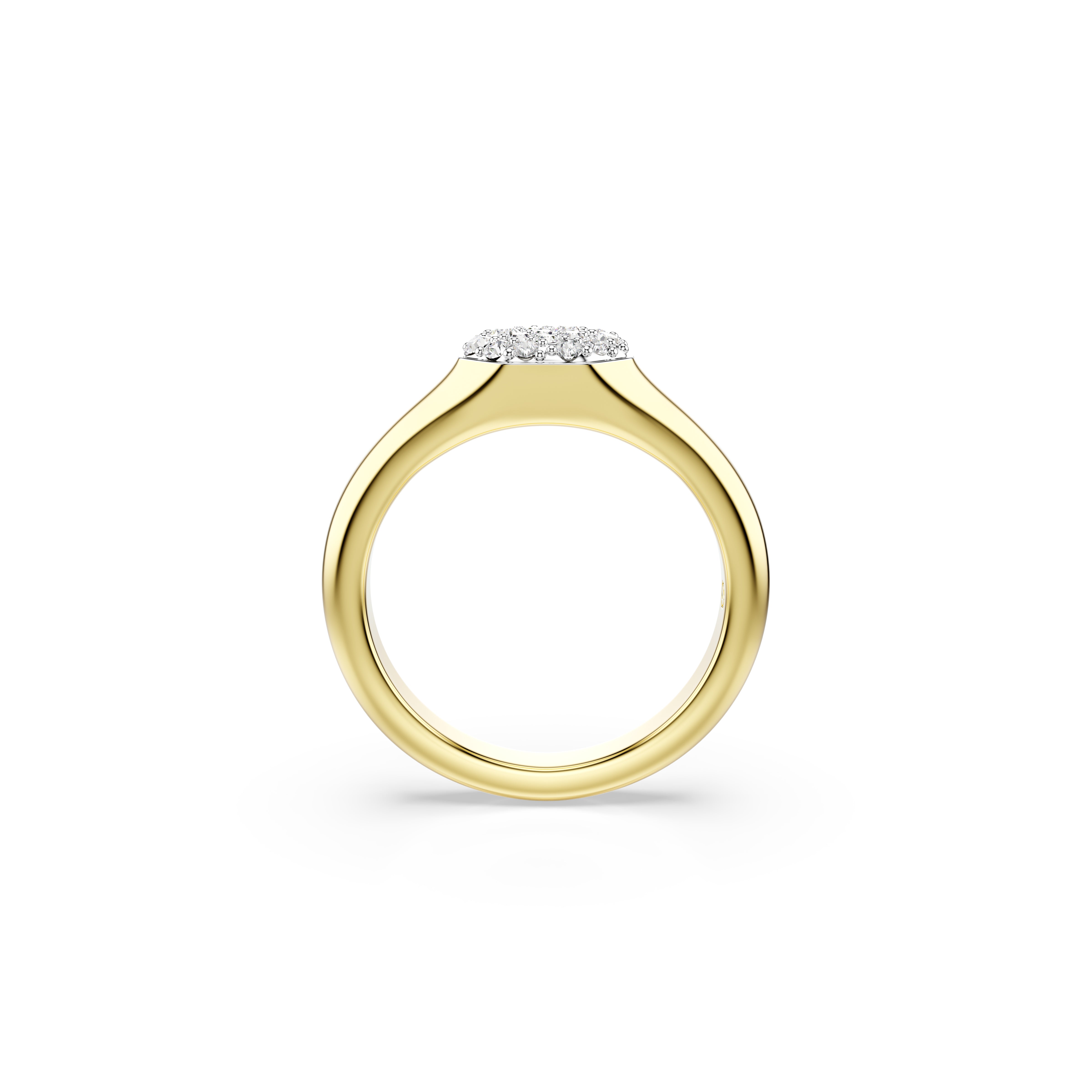 Dextera Yüzük, Karişik Kesim, Beyaz, Sari Altin Rengi Kaplama