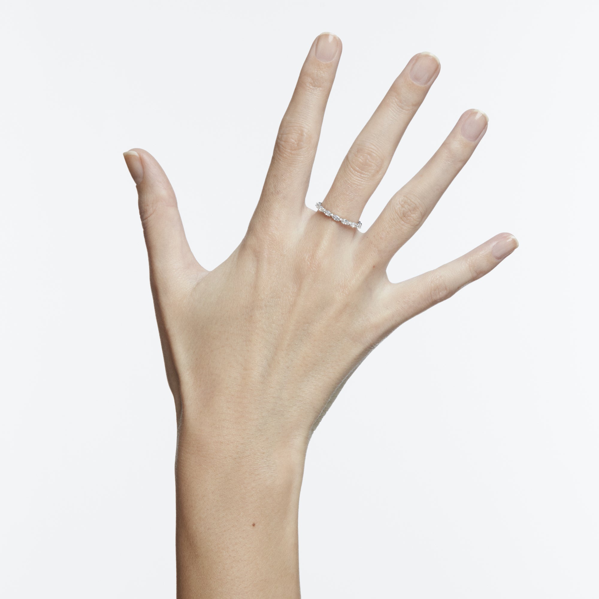 44014499168507,44014499234043,44014499266811,44014499299579