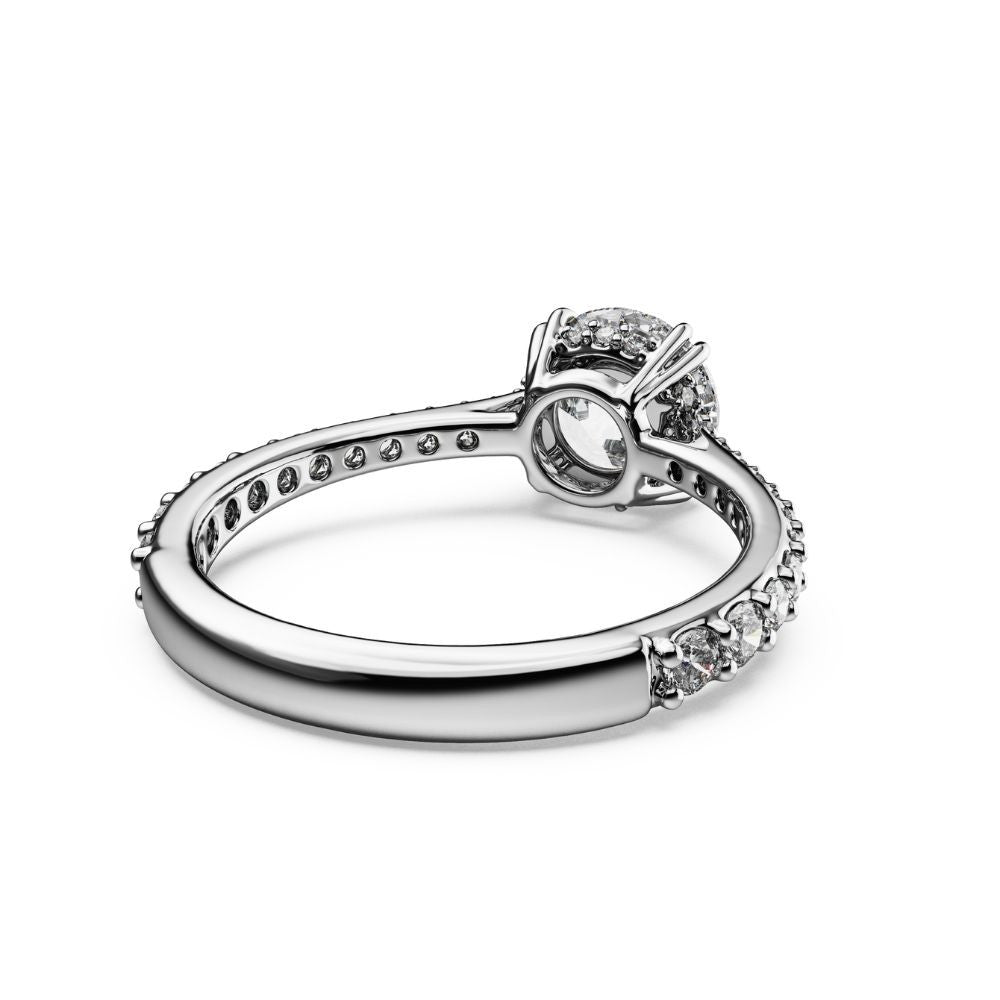 47886572814587,47886572847355,47886572880123,47886572912891,47886572945659