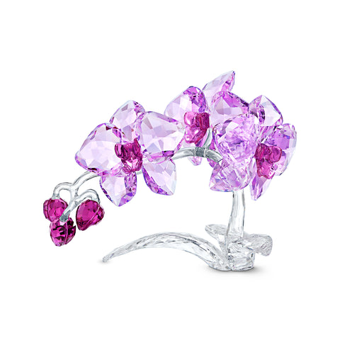 Crystal Flower Orkide