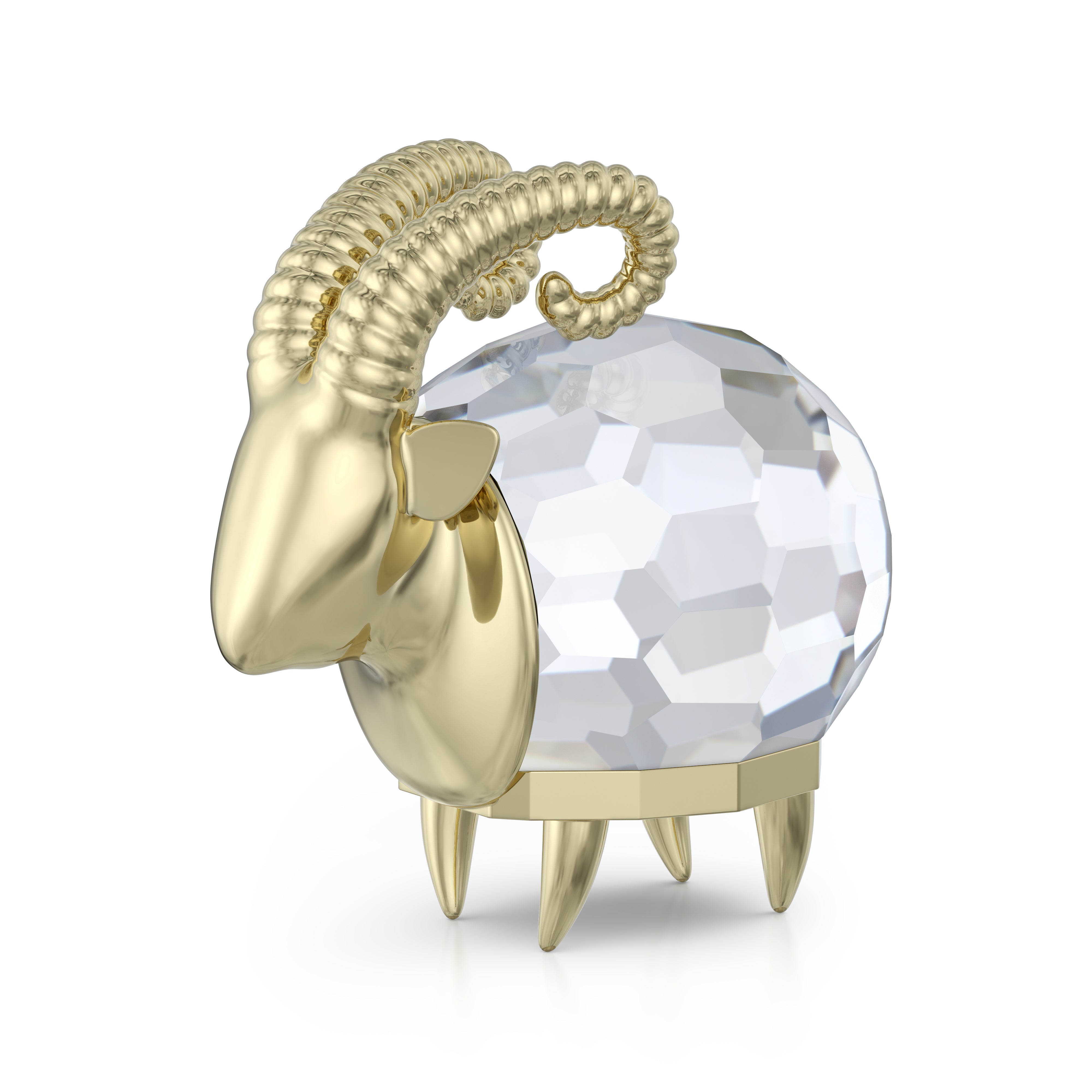 Zodiac Capricorn