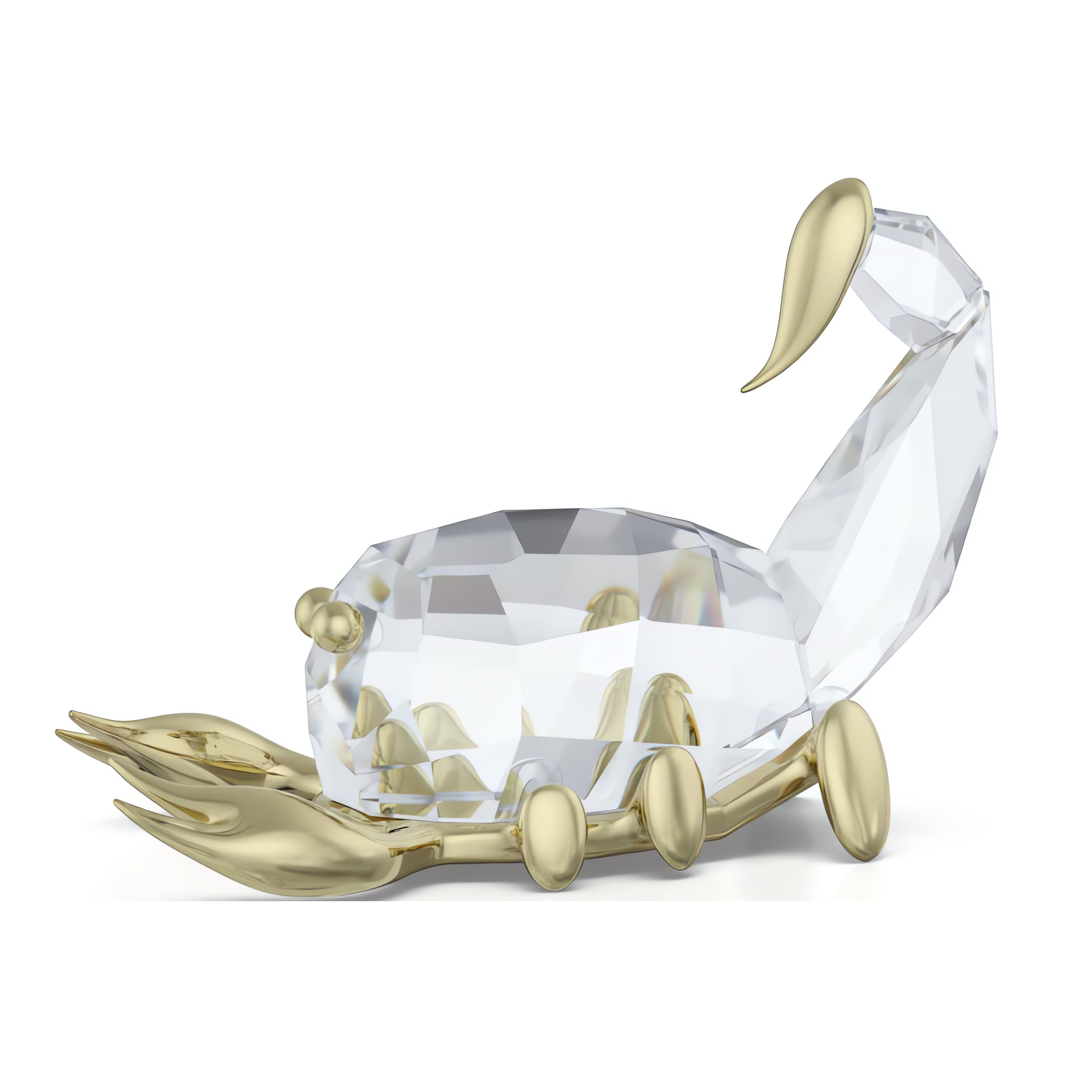 Zodiac Scorpio