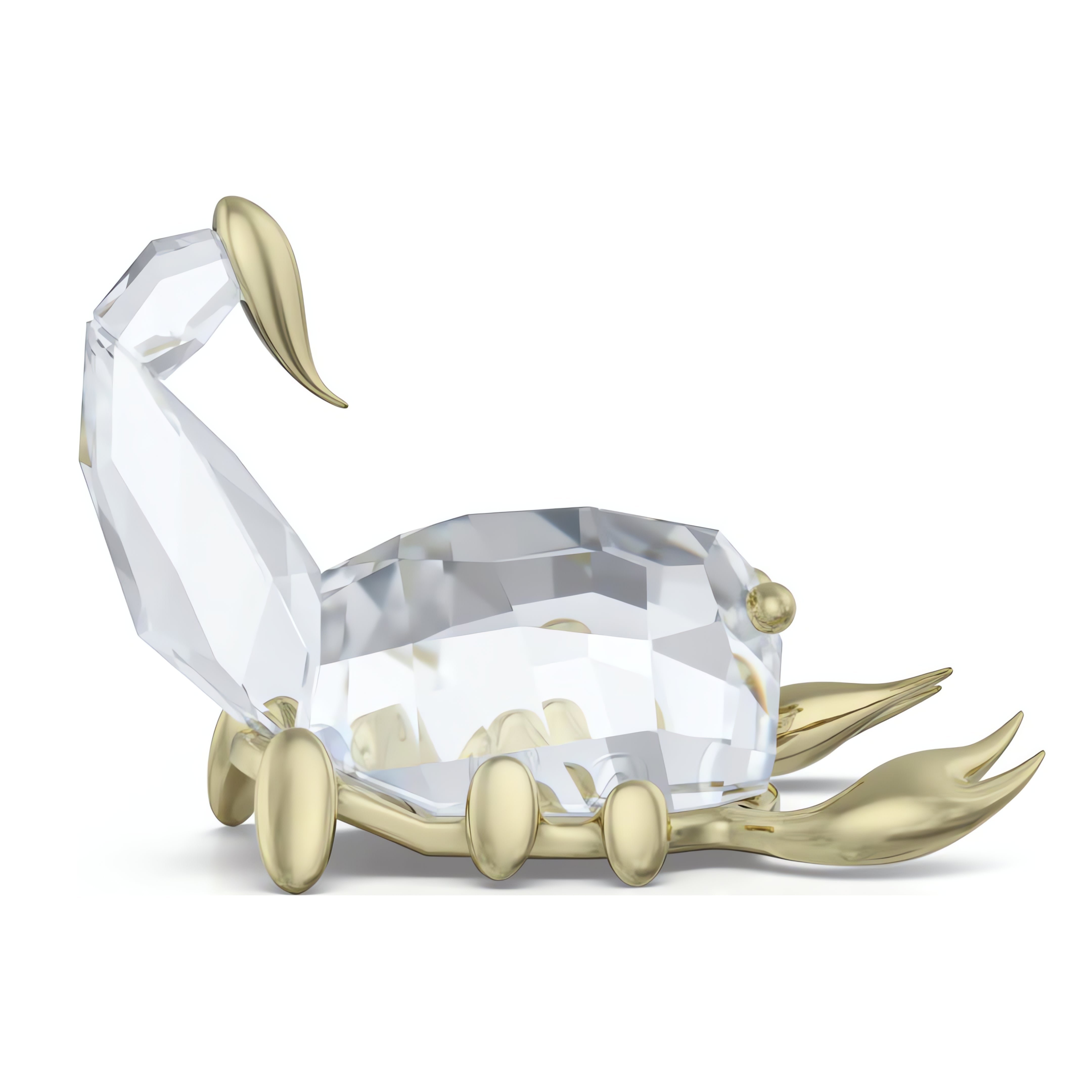 Zodiac Scorpio