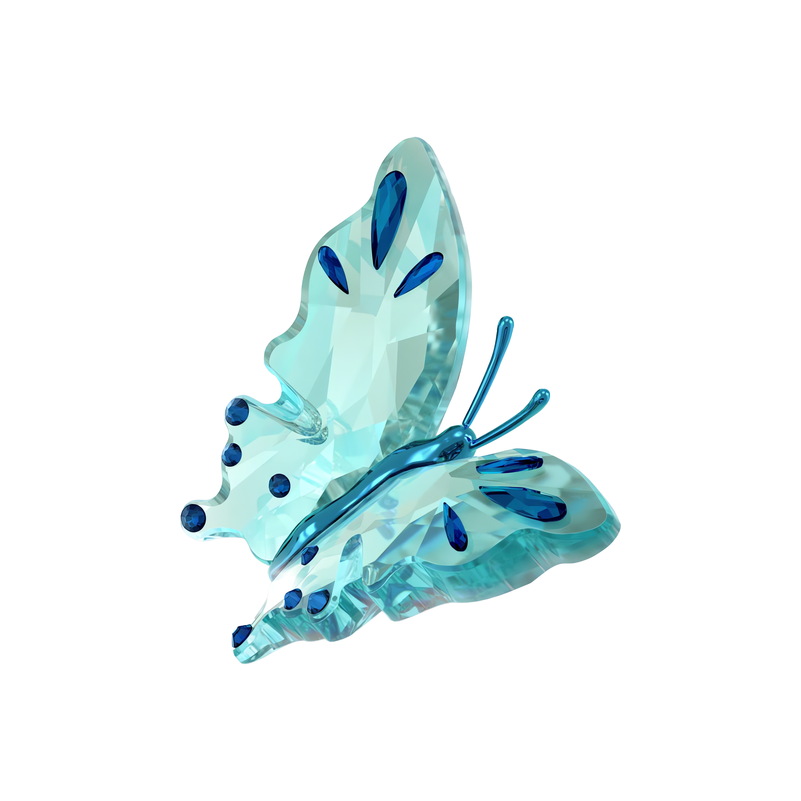 Idyllia Kelebek, Turkuaz