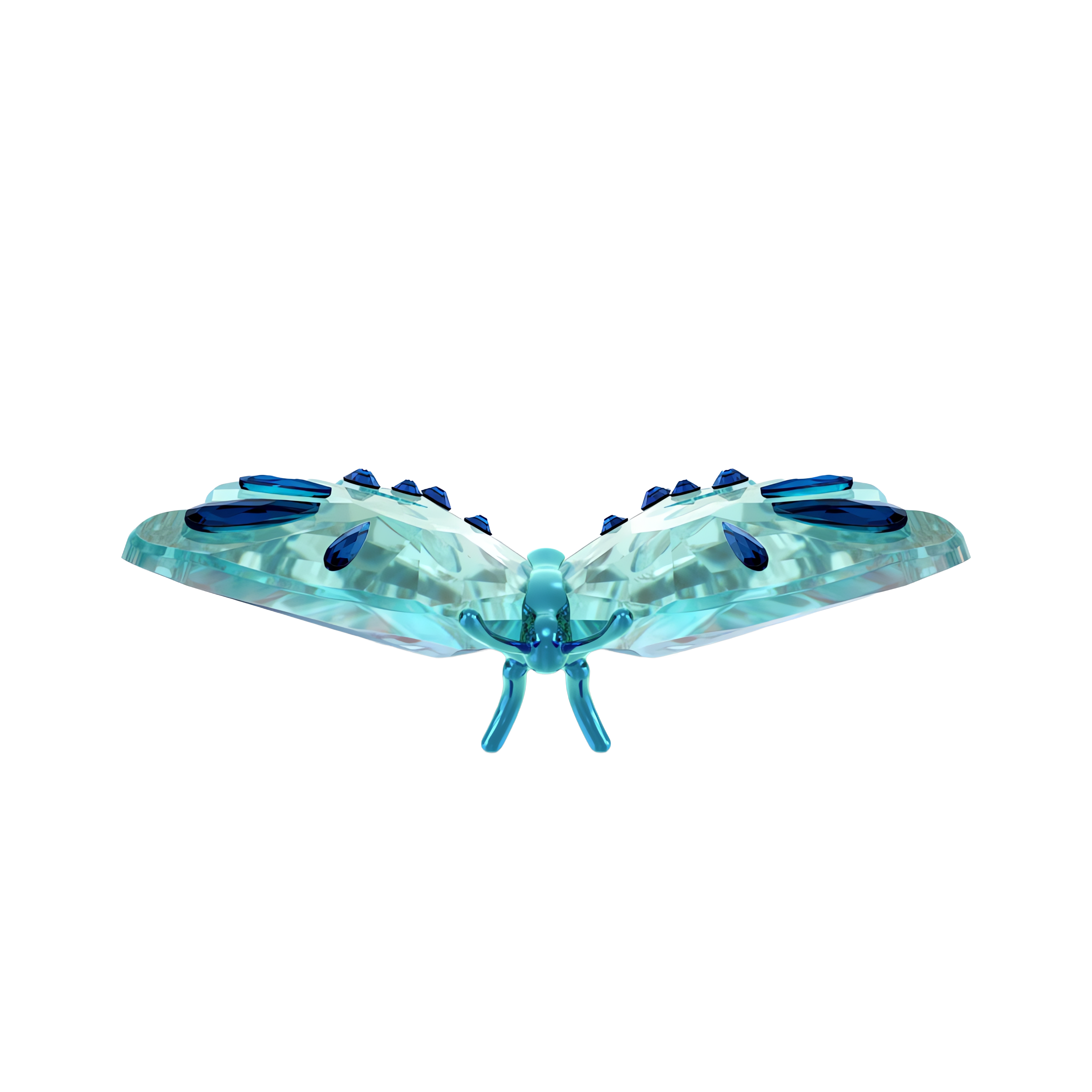 Idyllia Kelebek, Turkuaz