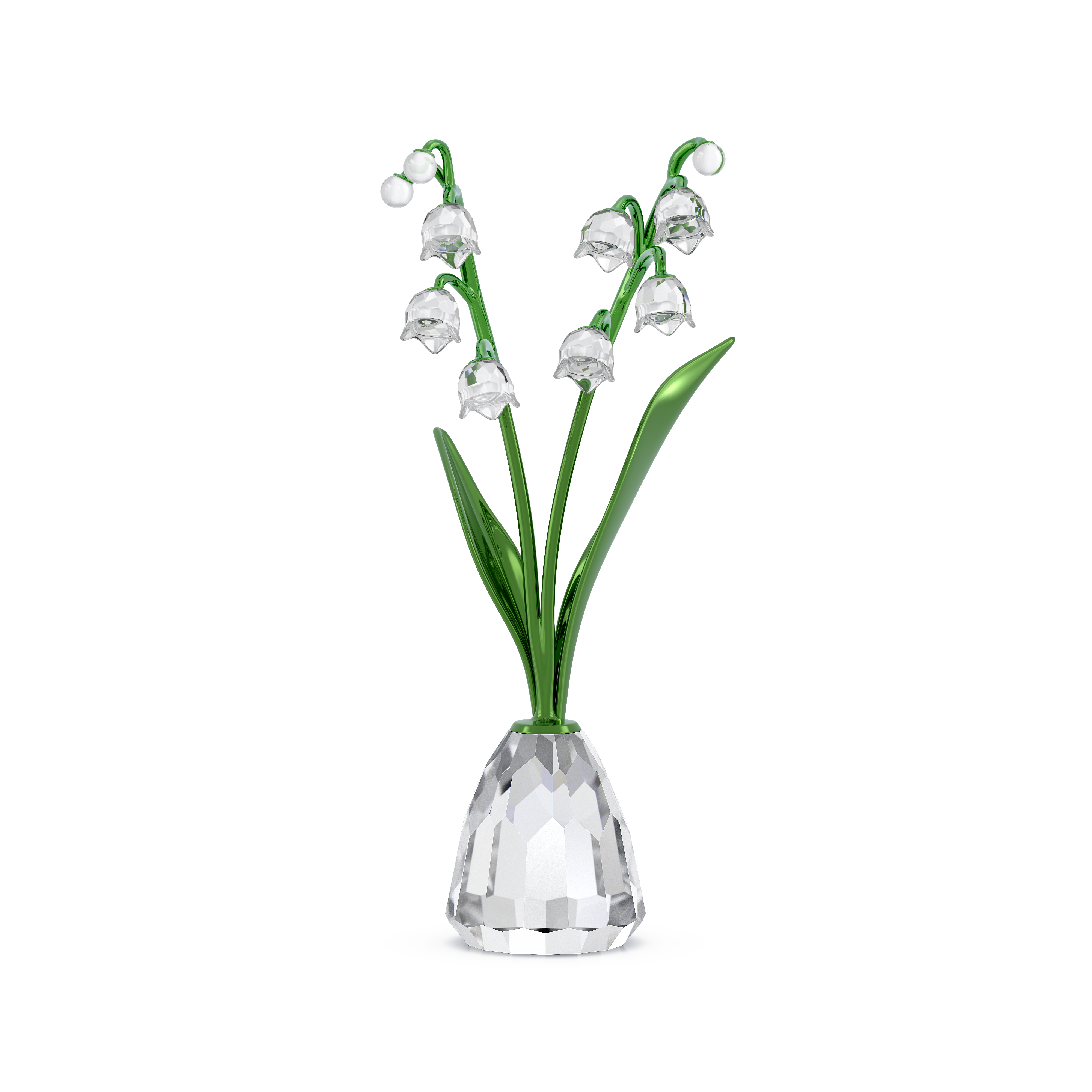 Florere Müge Çiçeği