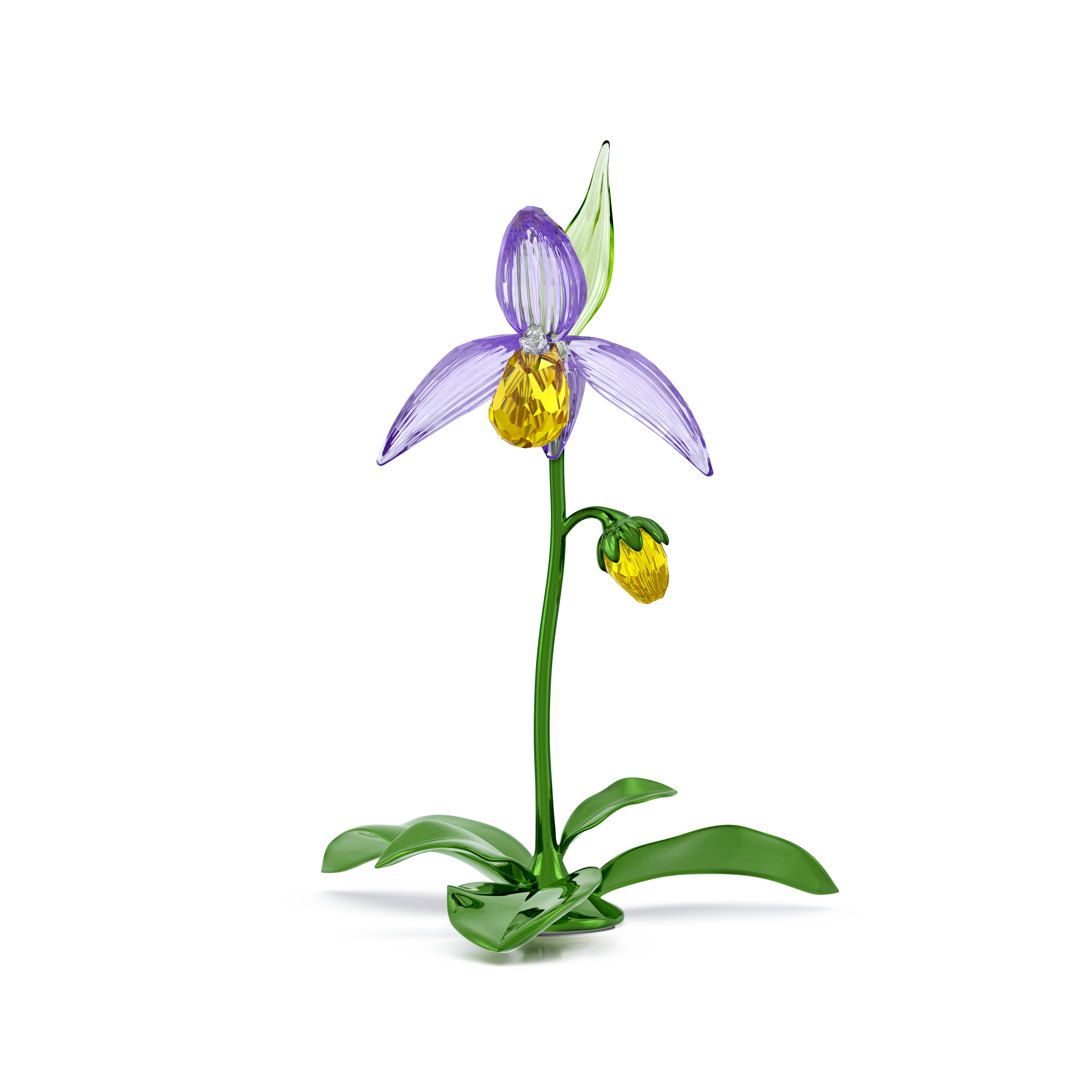 Florere Terlik Orkidesi