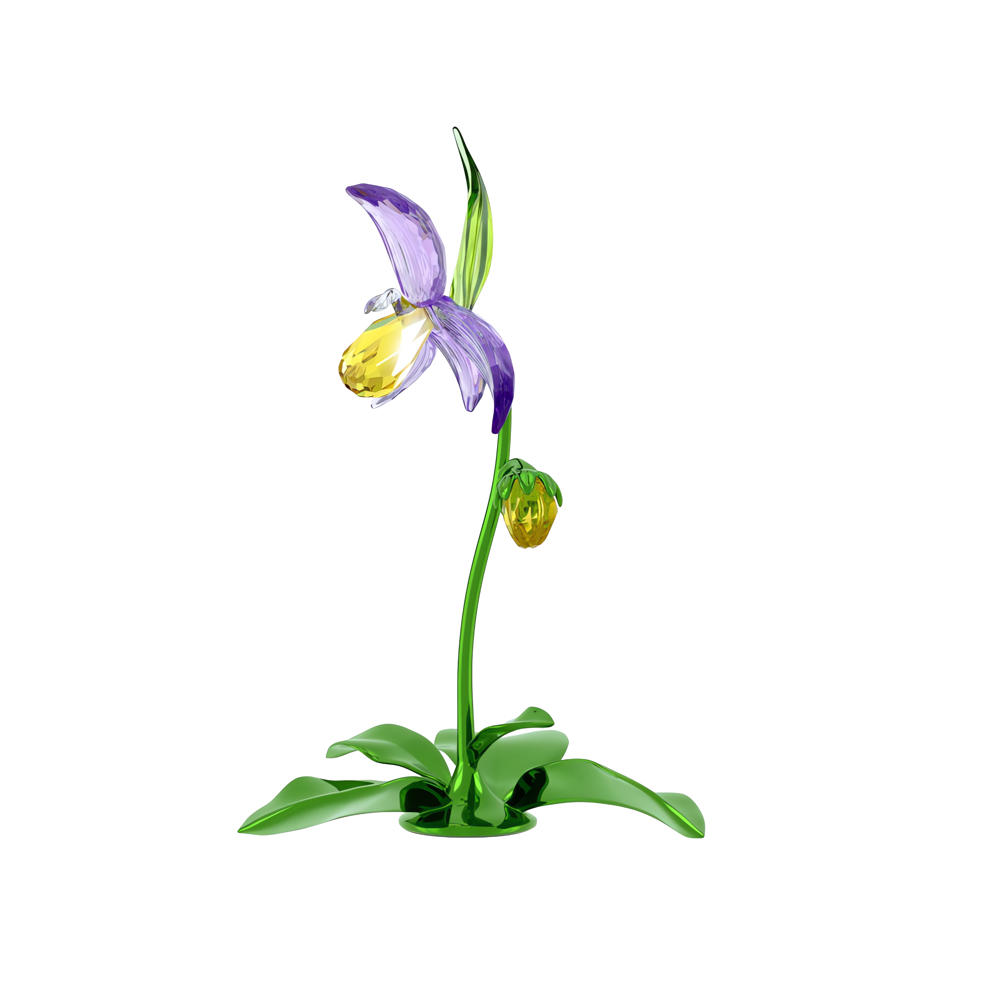 Florere Terlik Orkidesi