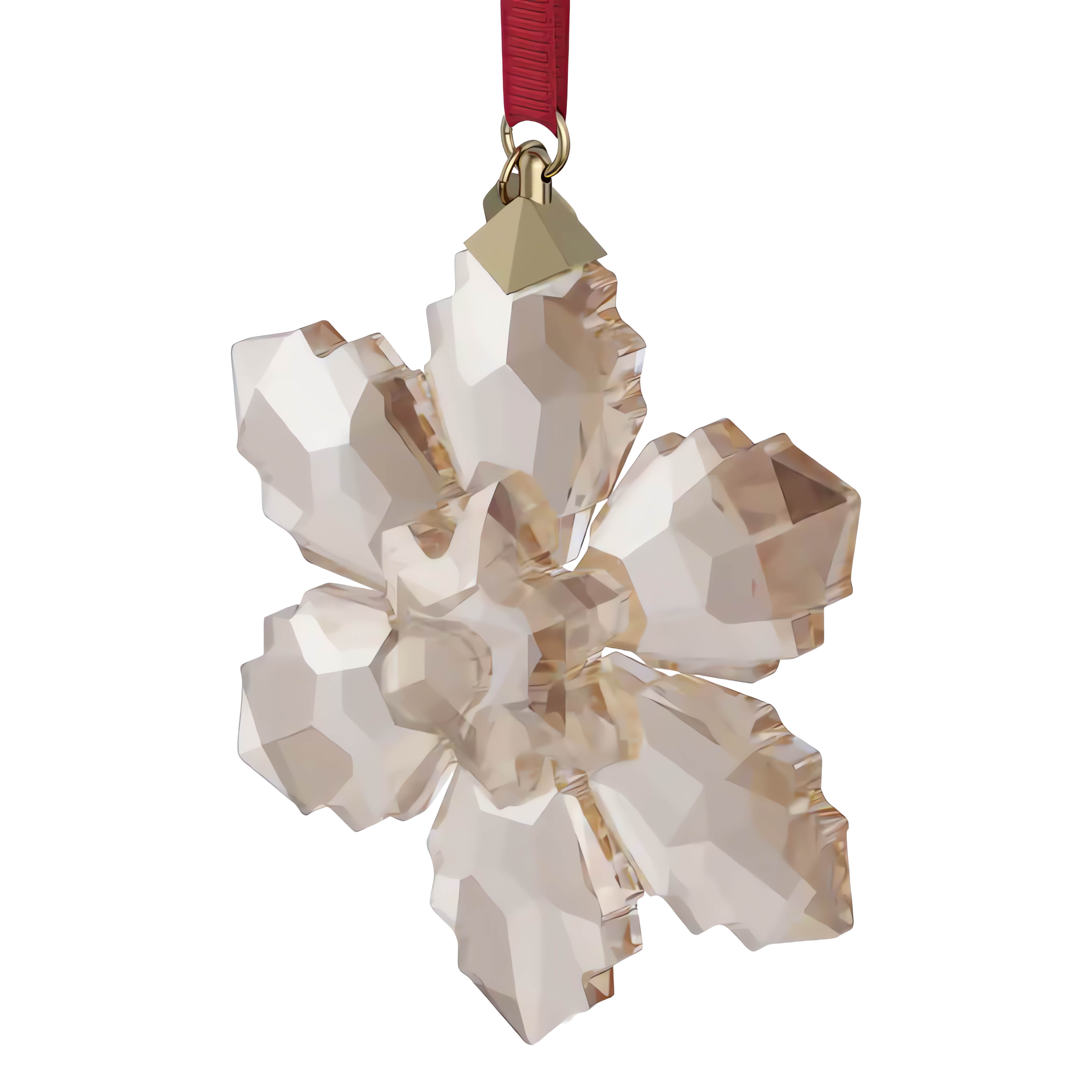 Annual Edition Festive Süs 2026