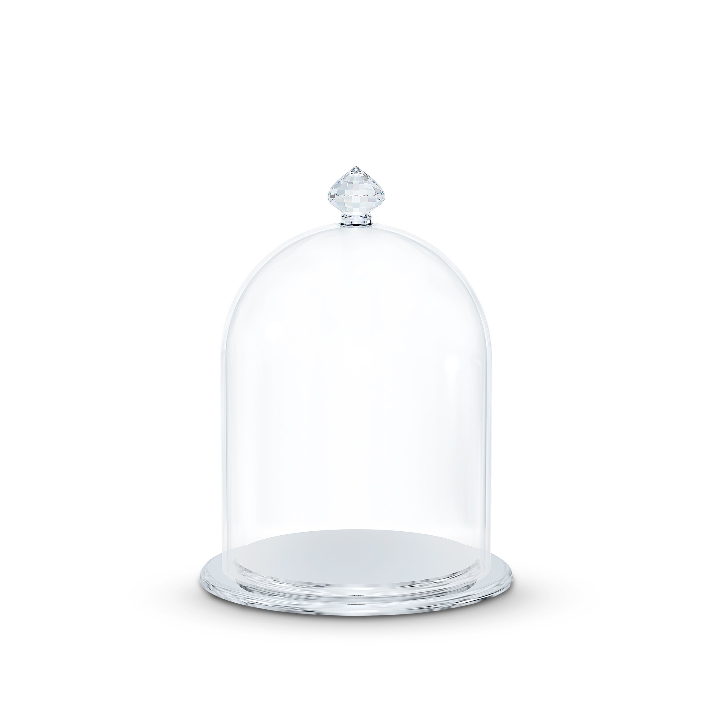 Bell Jar Display, Small